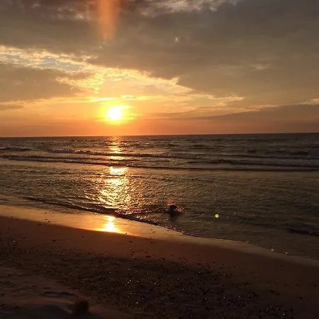 Hubertus - Przy Plazy