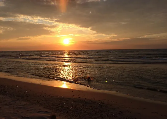 Hubertus - Przy Plazy